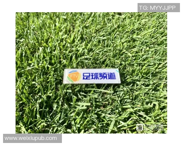 昭平足球比赛直播观看渠道及平台推荐详解